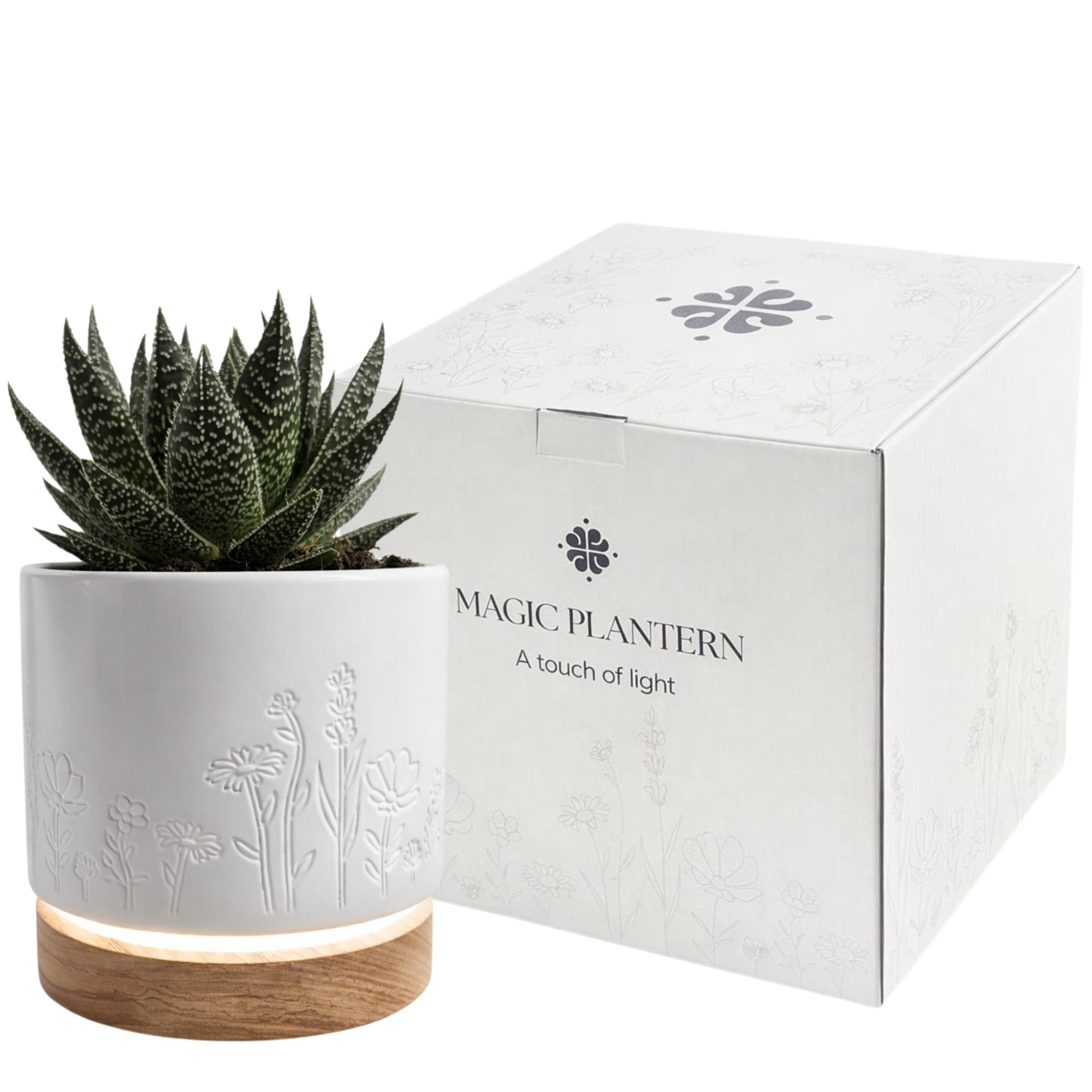 Magic Plantern - Wildflowers