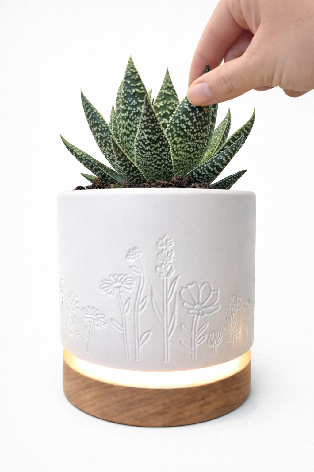 Hand touching the plant leaves to turn the Magic Plantern on.