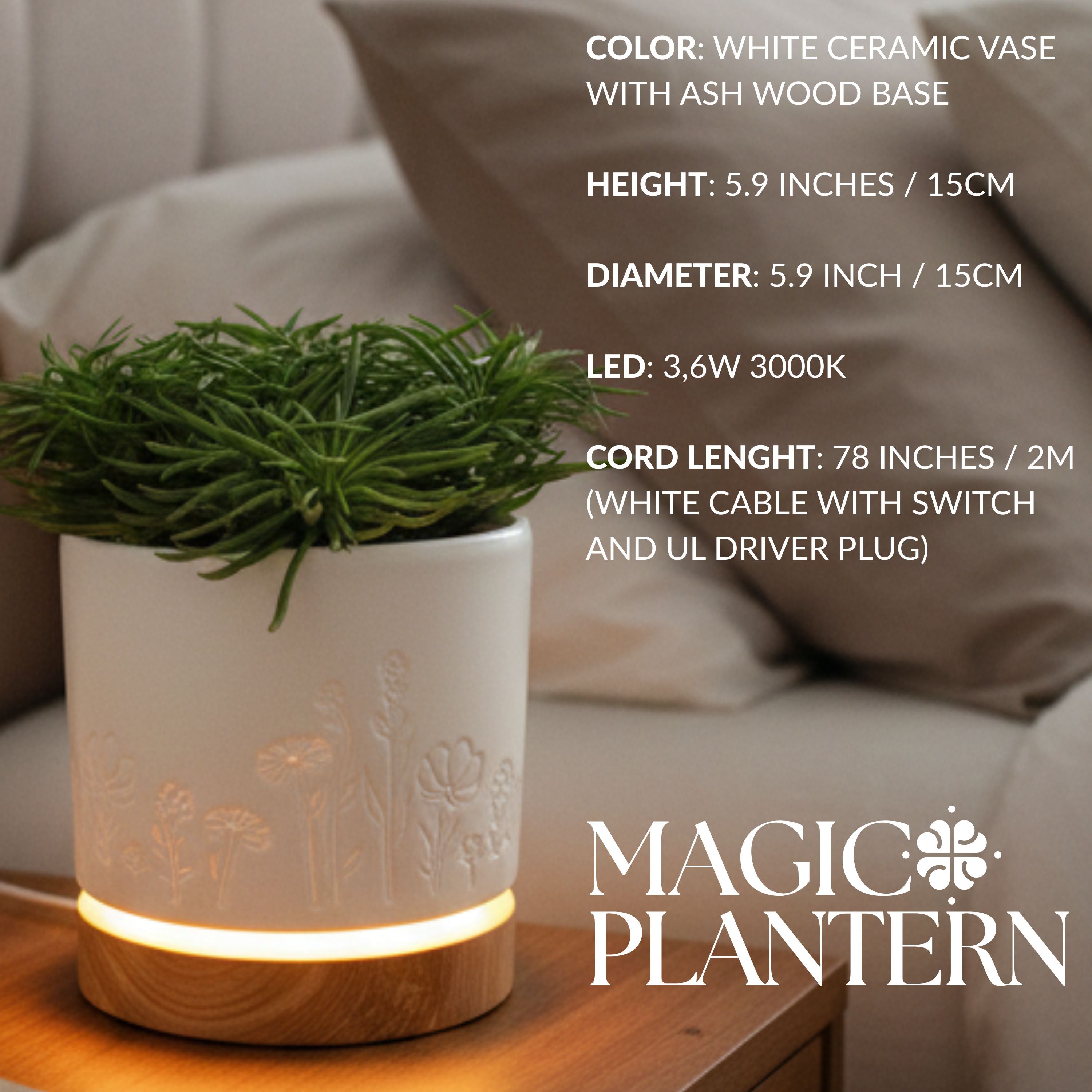 Magic Plantern - Wildflowers