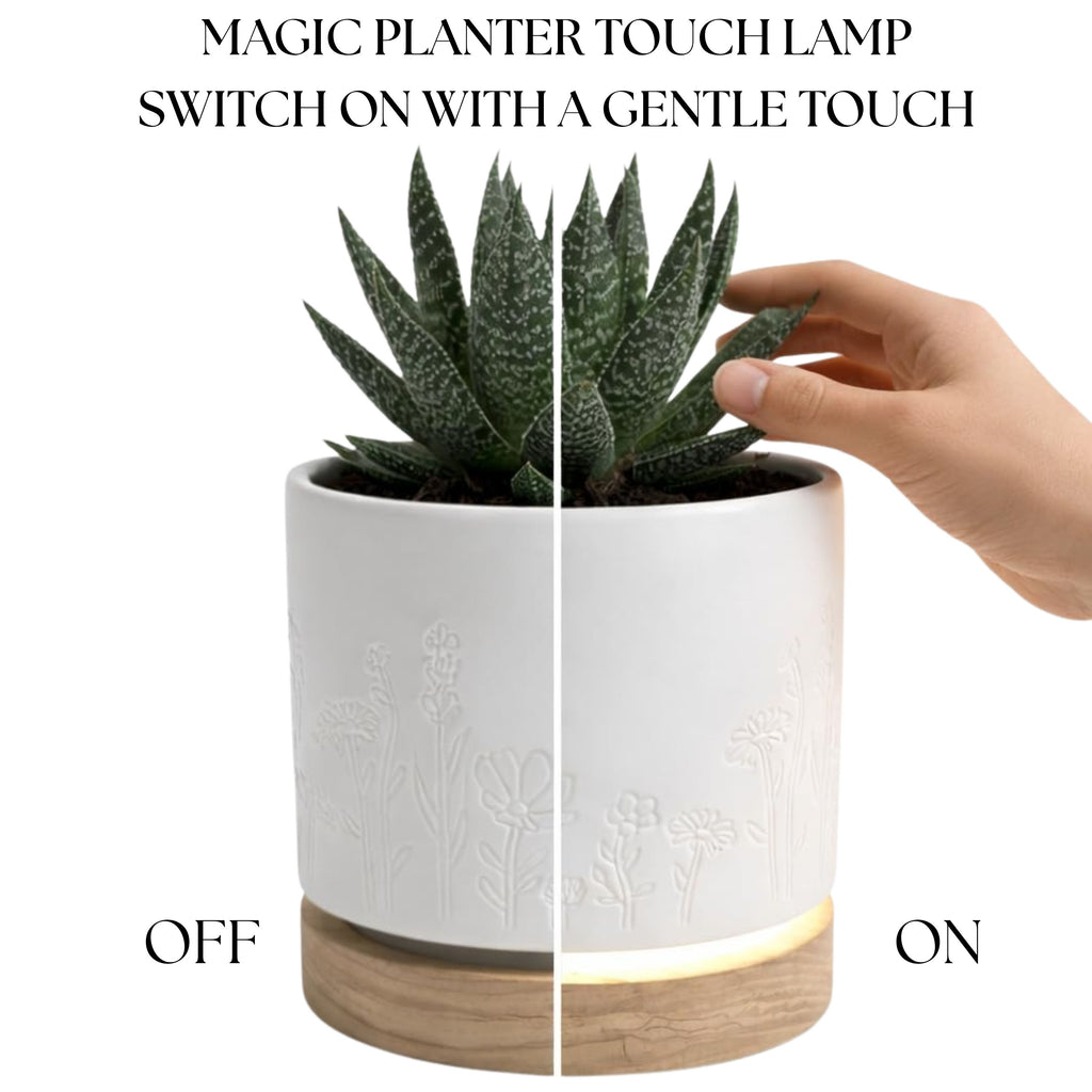 Magic Plantern - Wildflowers