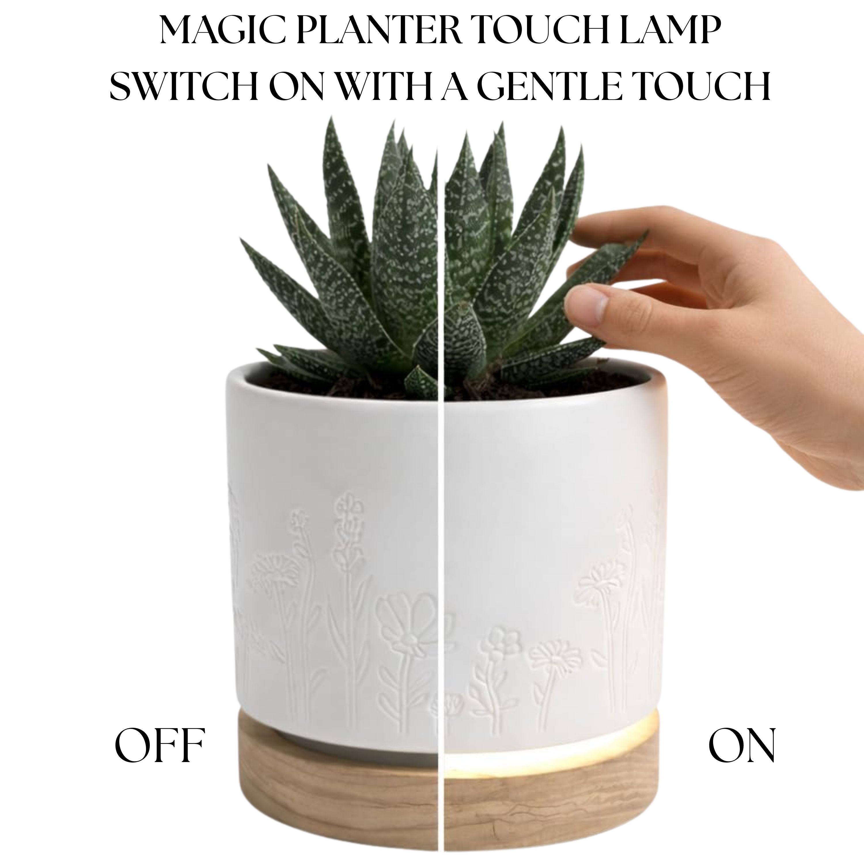 Magic Plantern - Wildflowers